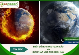 Biến đổi khí hậu toàn cầu 2026 & Giải pháp ứng phó hiện nay