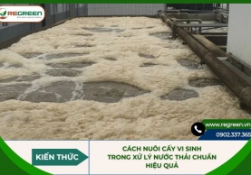 Cách nuôi cấy vi sinh trong xử lý nước thải chuẩn, hiệu quả