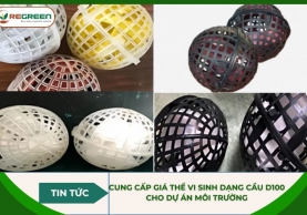 Cung cấp giá thể vi sinh dạng cầu D100 cho dự án môi trường