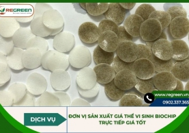 Đơn vị sản xuất giá thể vi sinh Biochip trực tiếp giá tốt