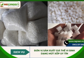 Đơn vị sản xuất giá thể vi sinh dạng mút xốp uy tín 