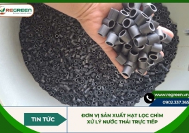 Đơn vị sản xuất hạt lọc chìm xử lý nước thải trực tiếp