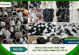 Đơn vị sản xuất trực tiếp giá thể vi sinh MBBR giá tốt #1