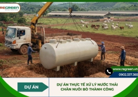 Dự án thực tế xử lý nước thải chăn nuôi bò thành công