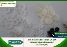 Giá thể vi sinh MBBR là gì? Tham khảo mẫu giá rẻ chất lượng