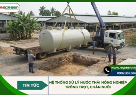 Hệ thống xử lý nước thải nông nghiệp trồng trọt, chăn nuôi