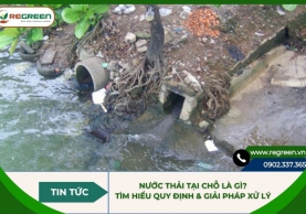 Nước thải tại chỗ là gì? Tìm hiểu quy định & giải pháp xử lý