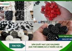 Sản xuất hạt lọc Kaldnes (giá thể MBBR) xử lý nước giá rẻ
