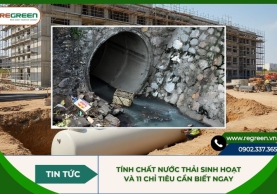 Tính chất nước thải sinh hoạt và 11 chỉ tiêu cần biết ngay