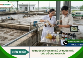 Tự nuôi cấy vi sinh xử lý nước thải cực dễ cho nhà máy
