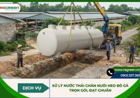 Xử lý nước thải chăn nuôi heo bò gà trọn gói, đạt chuẩn