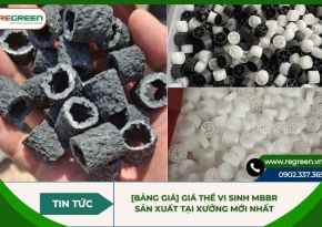 [Bảng giá] Giá thể vi sinh MBBR sản xuất tại xưởng mới nhất