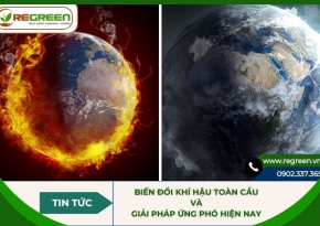 Biến đổi khí hậu toàn cầu 2026 & Giải pháp ứng phó hiện nay