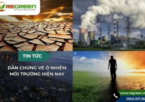 Dẫn chứng về ô nhiễm môi trường hiện nay [Báo động đỏ]