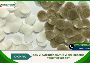 Đơn vị sản xuất giá thể vi sinh Biochip trực tiếp giá tốt