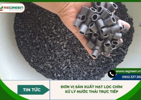 Đơn vị sản xuất hạt lọc chìm xử lý nước thải trực tiếp