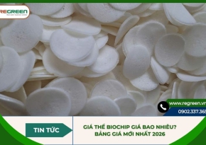 Giá thể Biochip giá bao nhiêu? Bảng giá mới nhất 2026