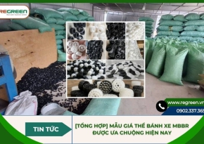 [Tổng hợp] Mẫu giá thể bánh xe MBBR được ưa chuộng hiện nay