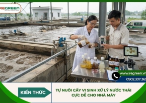 Tự nuôi cấy vi sinh xử lý nước thải cực dễ cho nhà máy