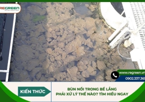 Bùn nổi trong bể lắng phải xử lý thế nào? Tìm hiểu ngay