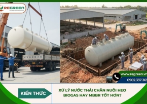 Xử lý nước thải chăn nuôi heo: Biogas hay MBBR tốt hơn?