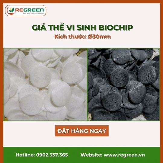 Giá thể Biochip VN chính hãng