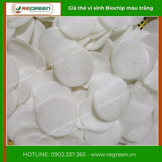 Giá thể Biochip VN chính hãng