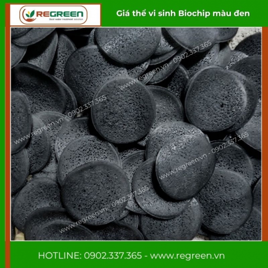 Giá thể Biochip VN chính hãng