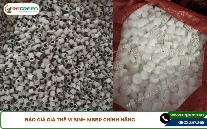 Báo giá giá thể vi sinh MBBR chính hãng