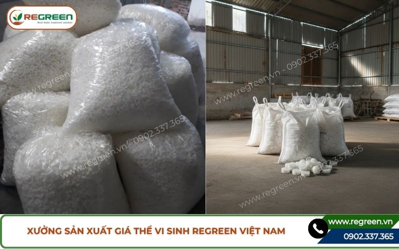 Xưởng sản xuất giá thể vi sinh Regreen Việt Nam