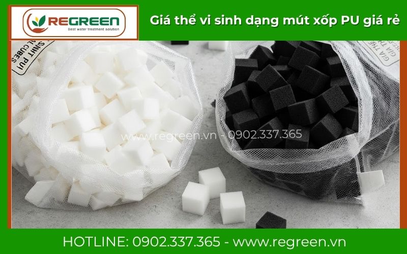 Kho hàng giá thể vi sinh dạng mút xốp Regreen Việt Nam