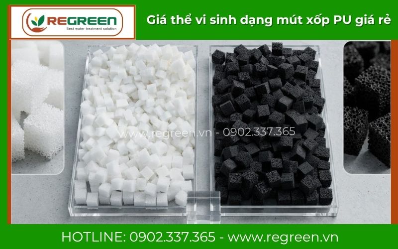 Giá thể vi sinh dạng mút xốp chất lượng cao Regreen