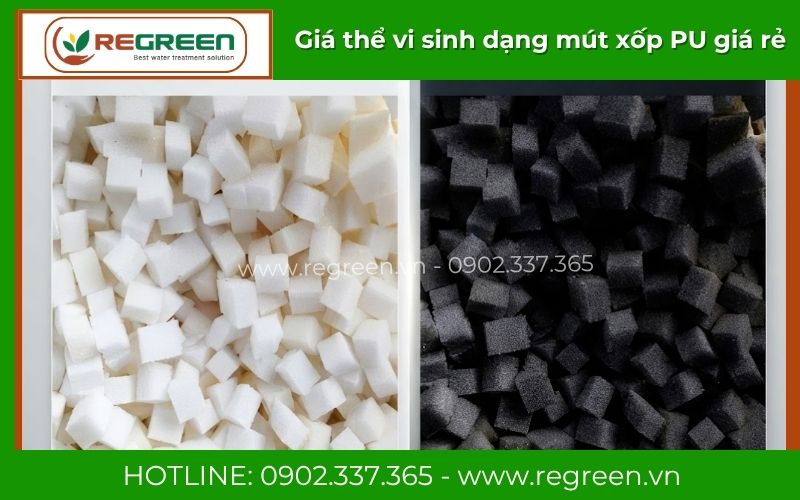 Giá thể vi sinh dạng mút xốp PU cao cấp Regreen