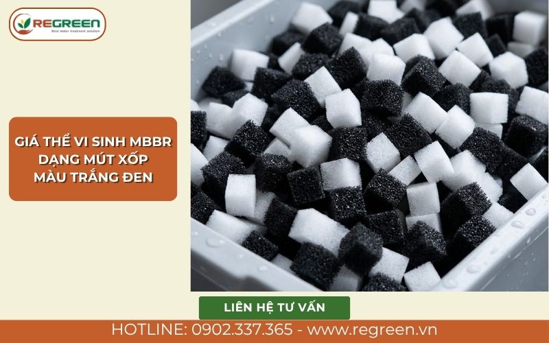 Giá thể vi sinh MBBR dạng mút xốp màu trắng đen