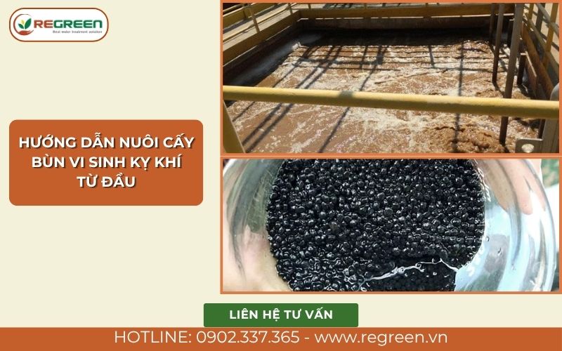 Hướng dẫn nuôi cấy bùn vi sinh kỵ khí từ đầu