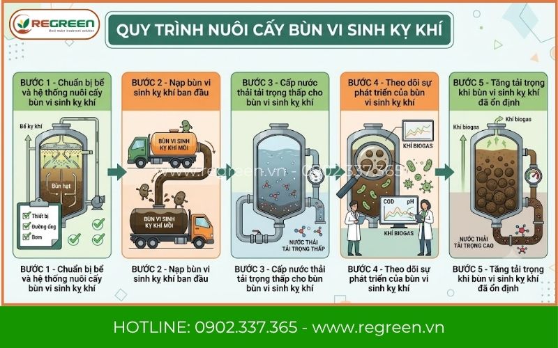 Quy trình nuôi cấy bùn vi sinh kỵ khí