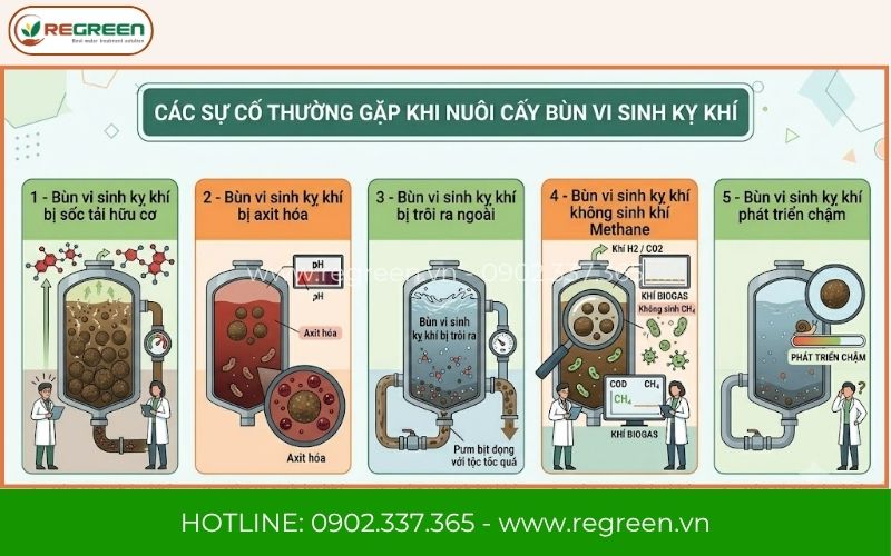 Các sự cố thường gặp khi nuôi cấy bùn vi sinh kỵ khí