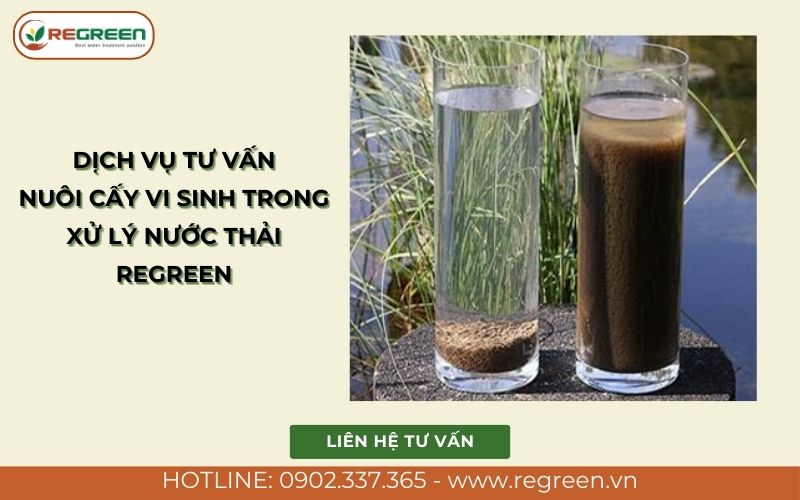 Dịch vụ tư vấn nuôi cấy vi sinh trong xử lý nước thải Regreen.