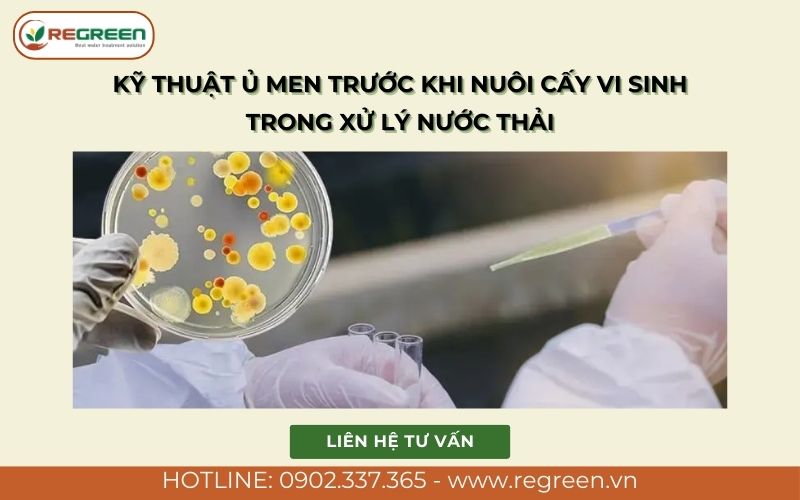 Kỹ thuật ủ men trước khi nuôi cấy vi sinh trong xử lý nước thải.