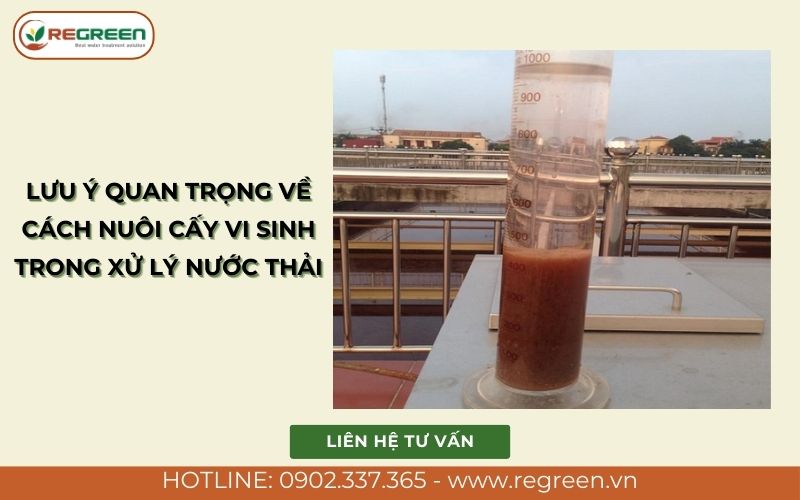 Lưu ý quan trọng về cách nuôi cấy vi sinh trong xử lý nước thải.