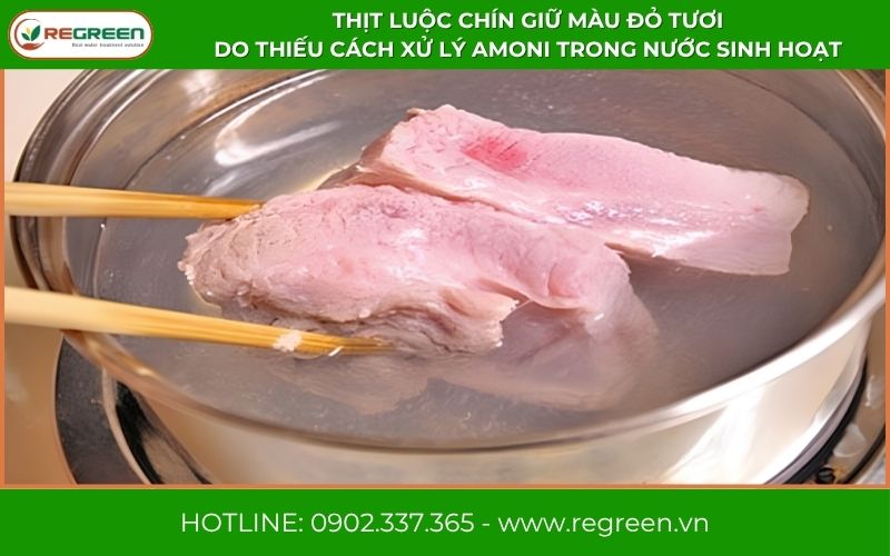 Thịt luộc chín giữ màu đỏ tươi do thiếu cách xử lý amoni trong nước sinh hoạt