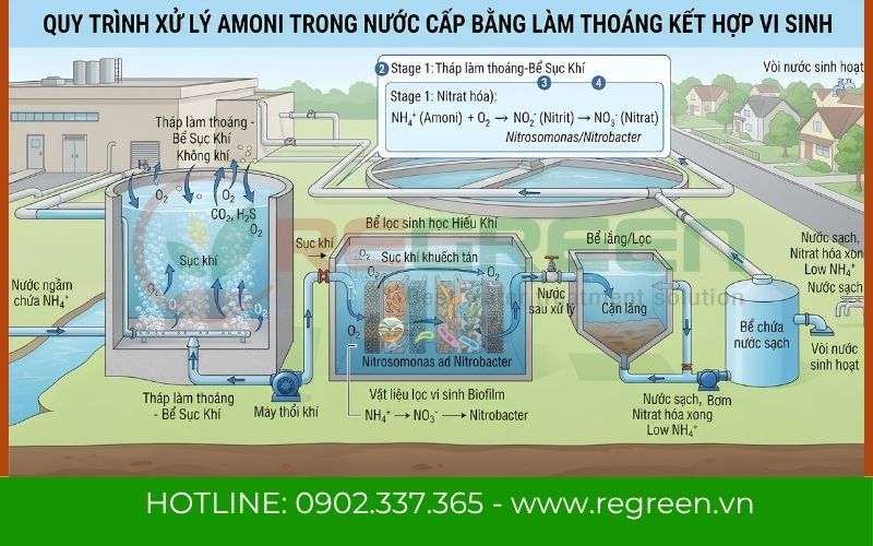 Sơ đồ quá trình Nitrat hóa sinh học trong cách xử lý amoni trong nước sinh hoạt