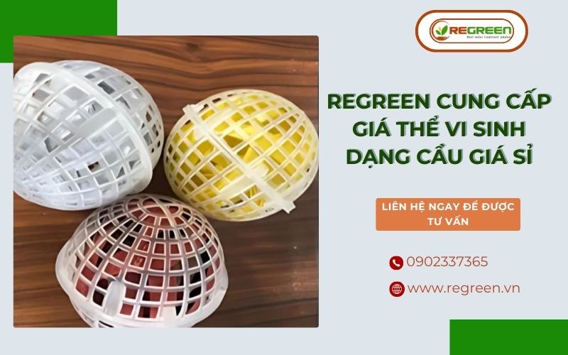 Regreen cung cấp giá thể vi sinh dạng cầu giá sỉ