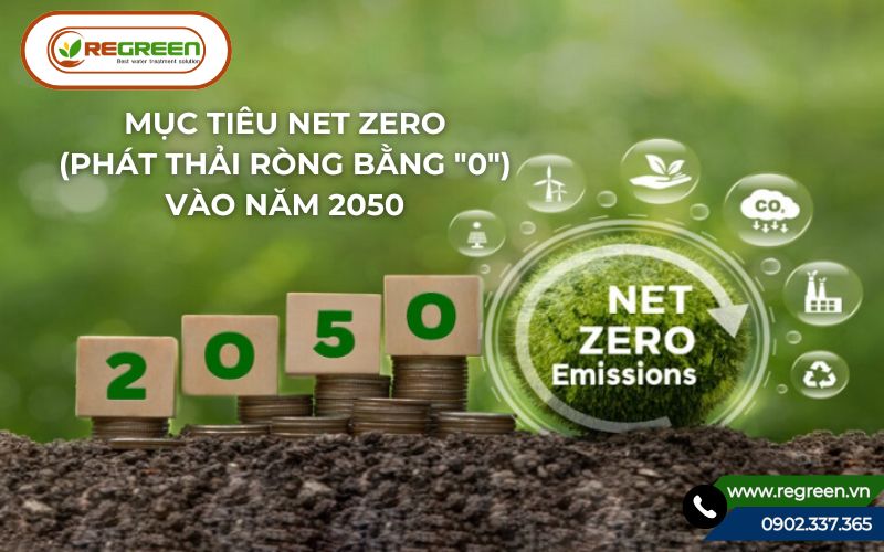 Cam kết Net Zero là mục tiêu cốt lõi của chuyển đổi xanh.