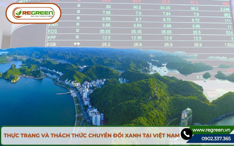 Thực trạng chuyển đổi xanh tại Việt Nam