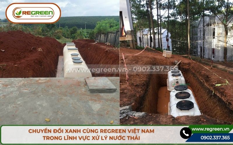 Regreen Việt Nam đồng hành cùng doanh nghiệp chuyển đổi xanh.