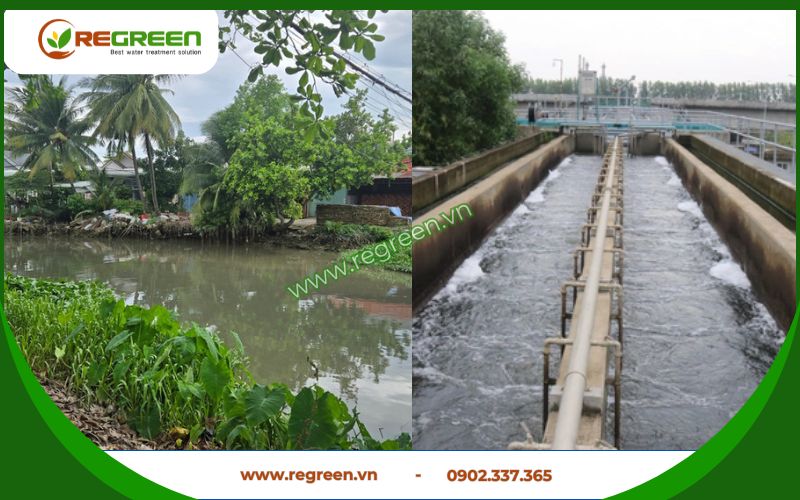 Thực trạng ô nhiễm cần xử lý nước thải Cần Thơ.