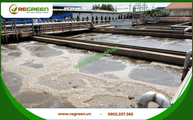 Khảo sát hiện trạng xử lý nước thải Quận 10.