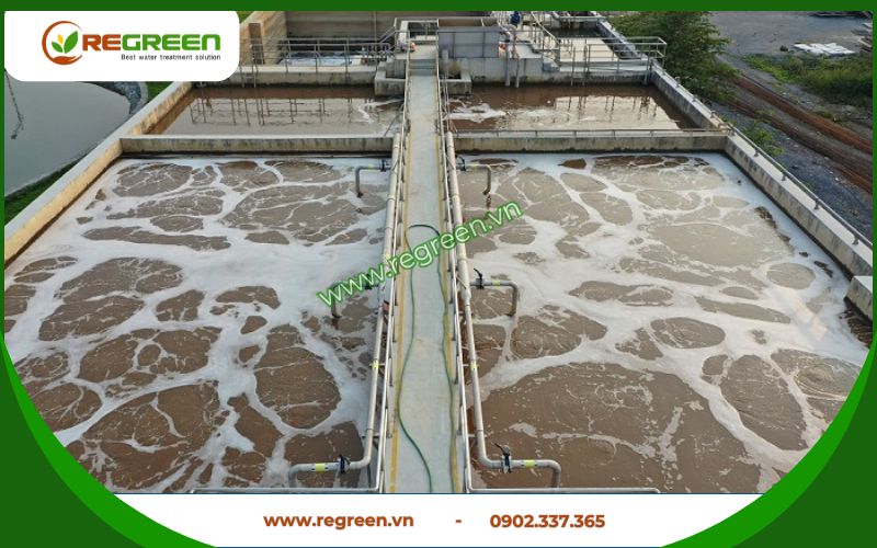 Thực trạng xử lý nước thải Quận 2 hiện nay