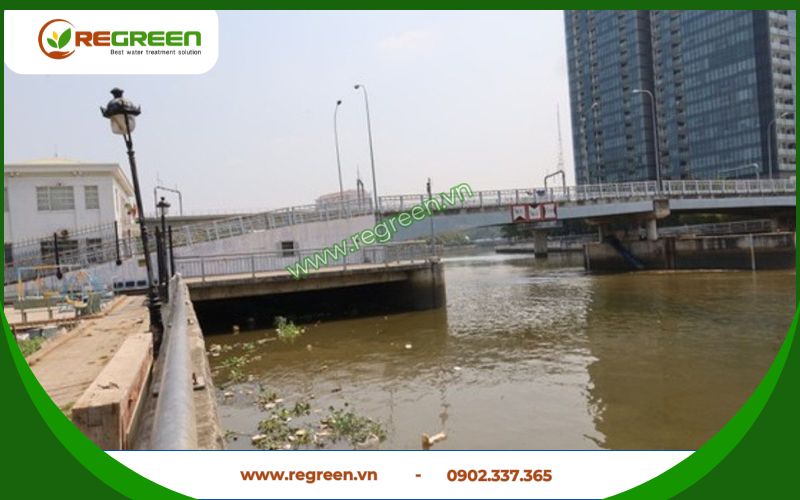 Hậu quả nếu không xử lý nước thải Quận 7 đúng quy định